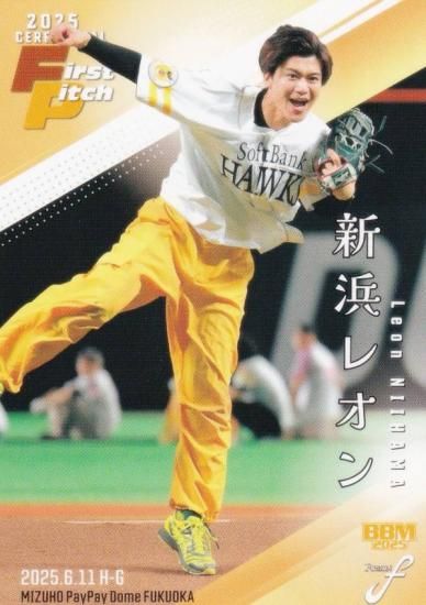 BBM ١ܡ륫 FP35 ͥ쥪 μ (쥮顼/ϵ弰)