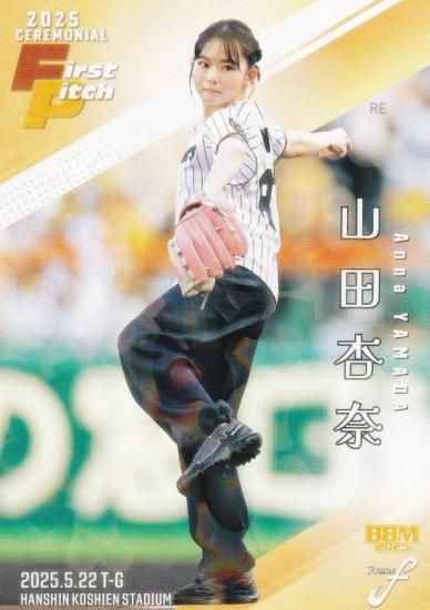 ڥۥPP 074/300BBM ١ܡ륫 FP29 İ ͥ (쥮顼/ϵ弰)