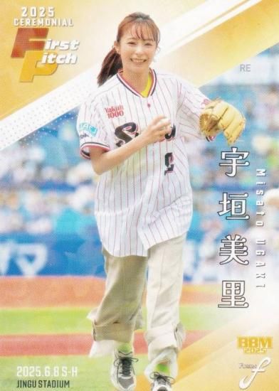 ڥۥPP 249/300BBM ١ܡ륫 FP33 Τ ե꡼ʥ󥵡 (쥮顼/ϵ弰)