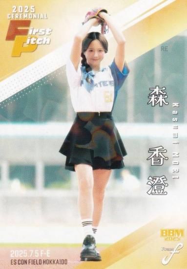 ڥۥPP 085/300BBM ١ܡ륫 FP44  ͥ (쥮顼/ϵ弰)