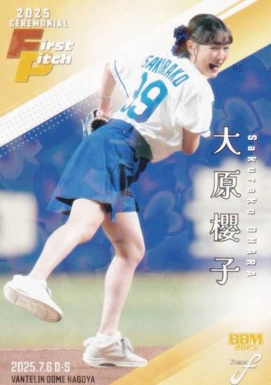 ڥۥPP 210/300BBM ١ܡ륫 FP46 縶ݯ μꡦͥ (쥮顼/ϵ弰)