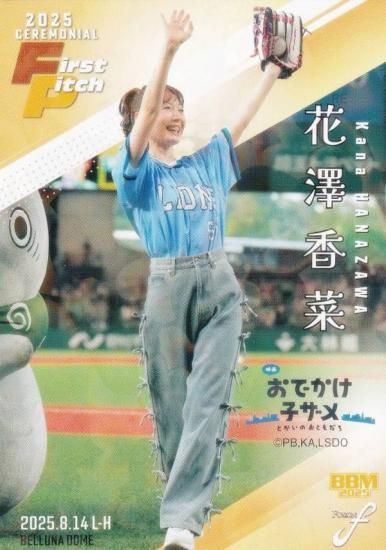 ڥۥPP 008/300BBM ١ܡ륫 FP56 ߷ ͥ (쥮顼/ϵ弰)