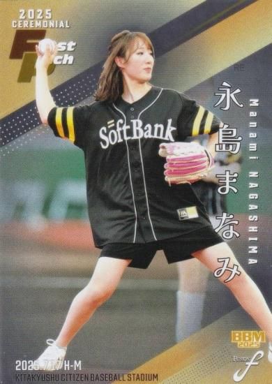 ڶ 178/200BBM ١ܡ륫 FP51 ޤʤ  (쥮顼/ϵ弰)