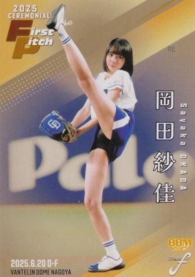 ڶ 057/100BBM ١ܡ륫 FP40 ļӲ ȡץ (쥮顼/ϵ弰)