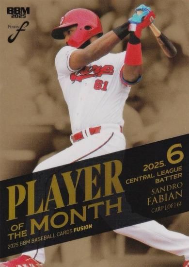 ڶ 028/100BBM ١ܡ륫 PM10 եӥ Υ (쥮顼/MVP 6 ꡼ Ǽ)