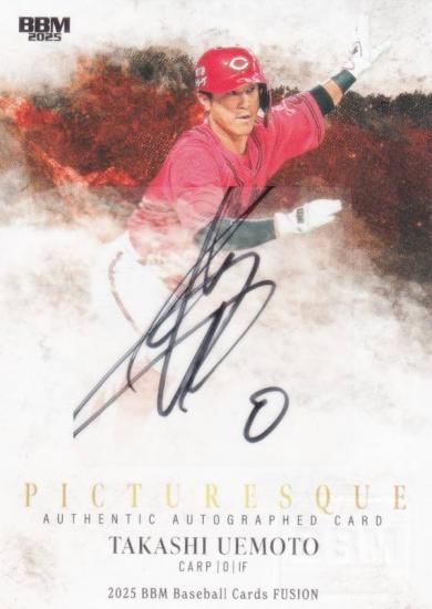 ľɮ󥫡 11/20BBM ١ܡ륫 ܿ Υ(ڥ륤󥵡ȥ/Picturesque)