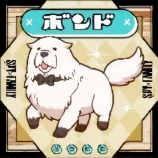 ڥܥ (N Ρޥ)  SPYFAMIL ѥեߥ꡼륰 Τ