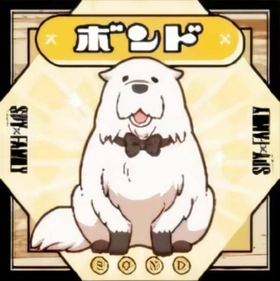 ڥܥ (R 쥢)  SPYFAMIL ѥեߥ꡼륰 Τ