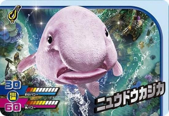 1-20 ˥奦ɥ (N Ρޥ) ۥɥ ꥹԥå  Vol.1