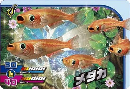 1-21  (N Ρޥ) ۥɥ ꥹԥå  Vol.1