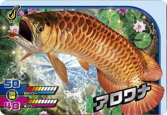 1-23  (N Ρޥ) ۥɥ ꥹԥå  Vol.1