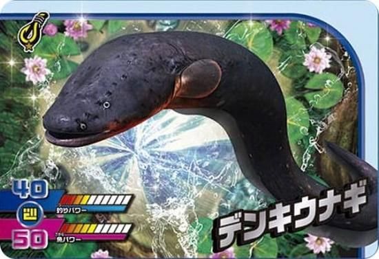 1-25 ǥ󥭥ʥ (N Ρޥ) ۥɥ ꥹԥå  Vol.1