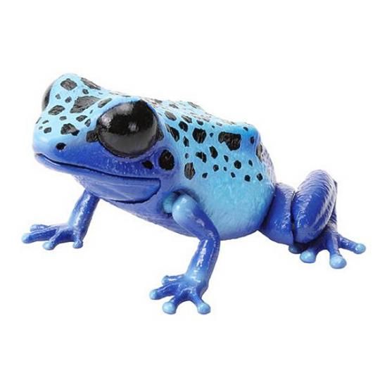 ڥХȥɥۤ޴եץƥ ɥ