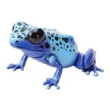 ڥХȥɥۤ޴եץƥ ɥ