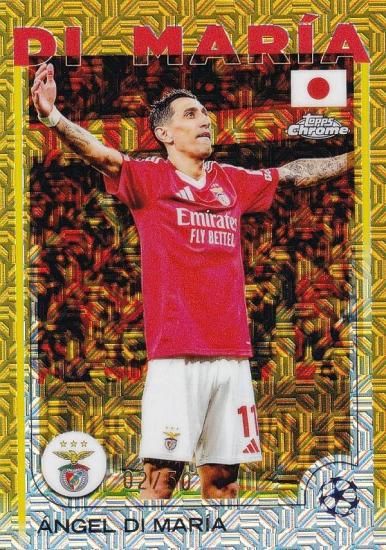 ڥɥѥ 02/50UEFA å 60 Angel DI Maria SL Benfica (١)