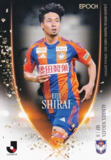 J꡼եȥ졼ǥ󥰥 081  ӥå (쥮顼)