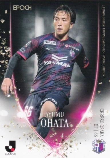 J꡼եȥ졼ǥ󥰥 CO66 Ȫ̴ å (쥮顼/ȥ饫)