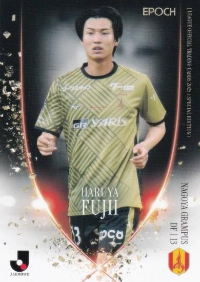 J꡼եȥ졼ǥ󥰥 NG13 ƣ ̾Ųѥ (쥮顼/ȥ饫)