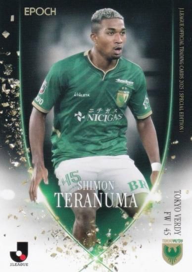 J꡼եȥ졼ǥ󥰥 VN45 ʸ ǥ (쥮顼/ȥ饫)