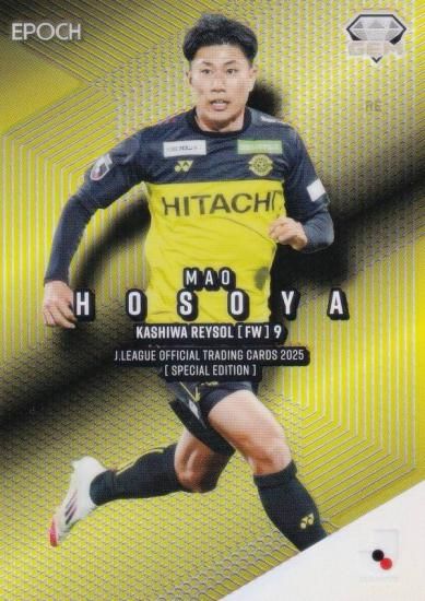 ̾ 07/24J꡼եȥ졼ǥ󥰥 GEM-J03 ë 쥤 (ڥ륤󥵡ȥ/GEM)