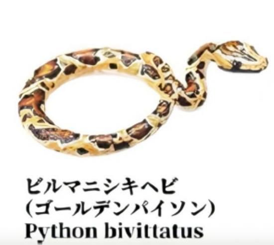 ڥӥޥ˥إ(ǥѥ) 1/12˴