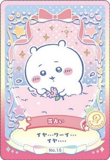 No.15 ꤤ (å󥫡) ۤ ϡ åɥ쥯2