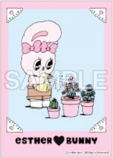 ڥܥХˡʿˡۥХˡ ġԡ֥ޥ ֥ޥ1Τ