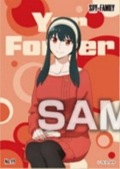 No.99 롦ե㡼SPYFAMILY ꥢɥ쥯󥬥4  ɤΤ