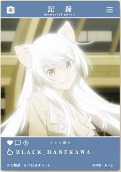 ڥ֥åʪ쥷꡼ EMOCA