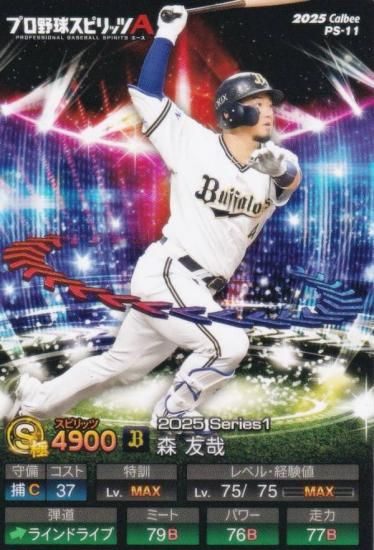 �ץ���她�ԥ�å�A PS-11 ����ͧ�� (����å���/S���) ����ӡ� 2025 �ݥƥȥ��åץ�