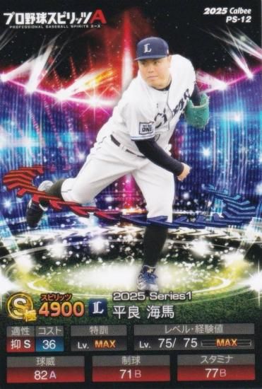 �ץ���她�ԥ�å�A PS-12 ʿ�ɡ����� (����/S���) ����ӡ� 2025 �ݥƥȥ��åץ�