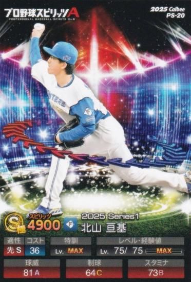 �ץ���她�ԥ�å�A PS-20 �̻����˴� (���ܥϥ�/S���) ����ӡ� 2025 �ݥƥȥ��åץ�