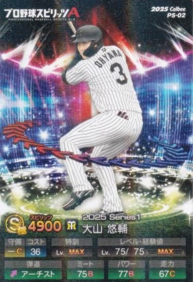 �ڥ��饫�����ǡۥץ���她�ԥ�å�A PS-02 �绳��ͪ�� (���/S���) ����ӡ� 2025 �ݥƥȥ��åץ�