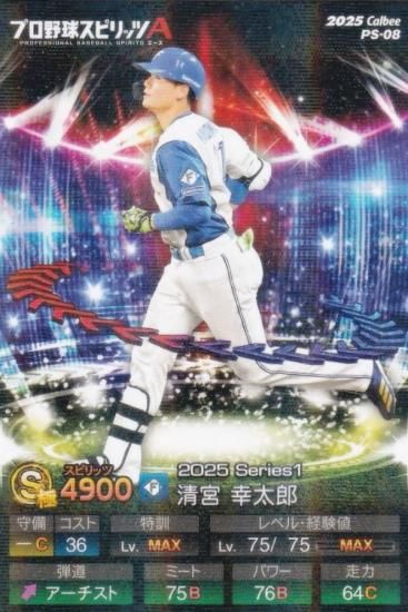 �ڥ��饫�����ǡۥץ���她�ԥ�å�A PS-08 ���ܡ�����Ϻ (���ܥϥ�/S���) ����ӡ� 2025 �ݥƥȥ��åץ�