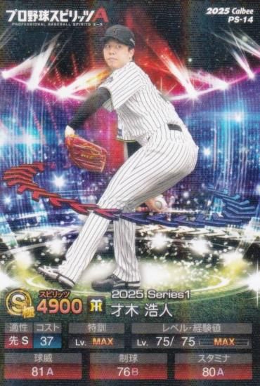 �ڥ��饫�����ǡۥץ���她�ԥ�å�A PS-14 ���ڡ����� (���/S���) ����ӡ� 2025 �ݥƥȥ��åץ�