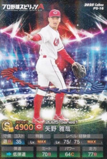 �ڥ��饫�����ǡۥץ���她�ԥ�å�A PS-16 ������� (����/S���) ����ӡ� 2025 �ݥƥȥ��åץ�