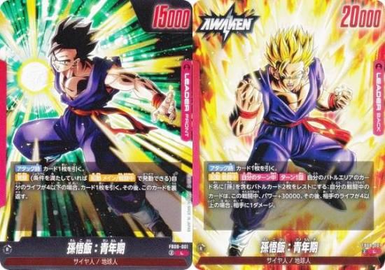 �ɥ饴��ܡ��륹���ѡ������ɥ����� FB08-001 ¹���ӡ���ǯ�� (L �꡼����������) �ե塼�������� �֡��������ѥå� �ؤ�⤭��Ʈ̱²