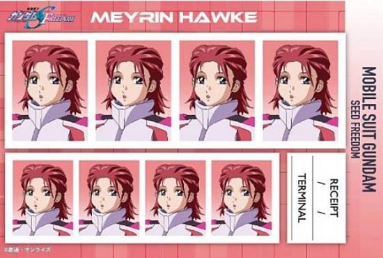 �ڥᥤ��󡦥ۡ����۵�ư��Υ������SEED FREEDOM �����̿��� ��2��