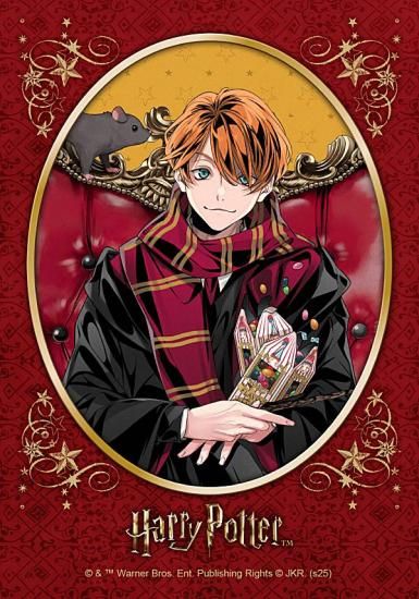 �ڥ��󡦥��������꡼B�ۥϥ꡼���ݥå��� �֥��ޥ��ɥ��쥯�����(2025ǯ12����)