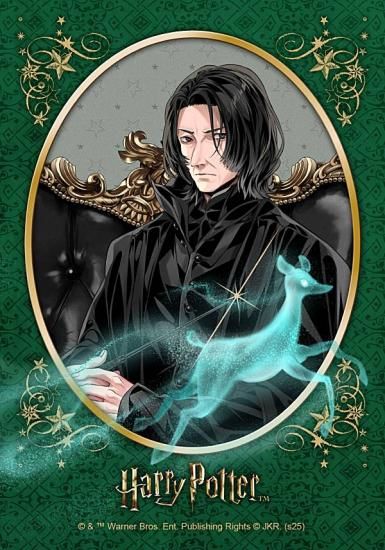 �ڥ��֥륹�����ͥ���B�ۥϥ꡼���ݥå��� �֥��ޥ��ɥ��쥯�����(2025ǯ12����)