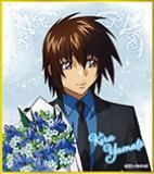 �ڥ��顦��ޥȡ۵�ư��Υ������SEED FREEDOM �ߥ˿��楳�쥯����� ��«