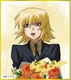 �ڥ����ꡦ��顦�����ϡ۵�ư��Υ������SEED FREEDOM �ߥ˿��楳�쥯����� ��«