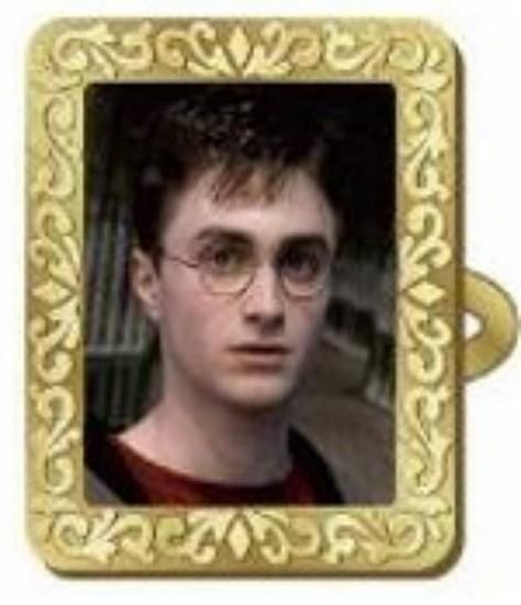 �ڥϥ꡼���ݥå����ۥϥ꡼���ݥå��� �۱��󥰥��쥯����� Vol.2