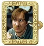 �ڥ꡼�ޥ����롼�ԥ�ۥϥ꡼���ݥå��� �۱��󥰥��쥯����� Vol.2