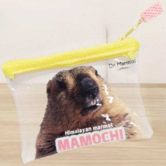 �ڤޤ����Dr.�ޡ���åȥ��ꥢ�ݡ���