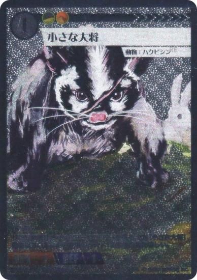 ���˥ޥ륫���ɥ����� BP3-PR8 �������羭 (PR �ץ���) �֡��������ѥå� ������� �����ȥ�PR�����ɥѥå���Ͽ