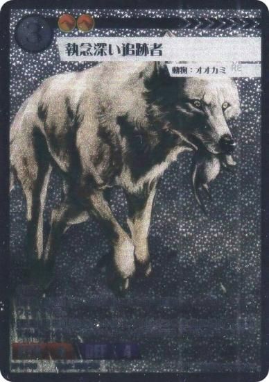 ���˥ޥ륫���ɥ����� BP3-PR9 ��ǰ�������׼� (PR �ץ���) �֡��������ѥå� ������� �����ȥ�PR�����ɥѥå���Ͽ