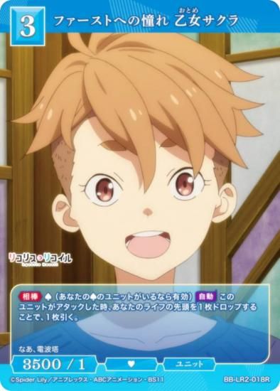 �ӥ�ǥ��Х���TCG �֥饤�� BB-LR2-018R �ե������Ȥؤ�ƴ�� ���������� (R �쥢)