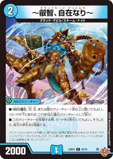 �ǥ奨��ޥ������� DM25RP4 59/78 �����ҡ����ߤʤ�� (C �����) (DM25-RP4)