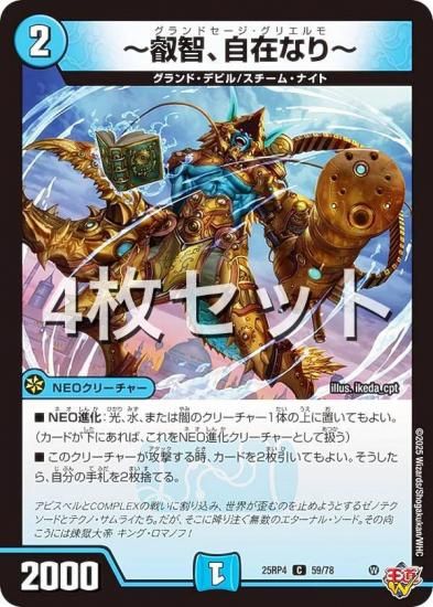 ��4�祻�åȡۥǥ奨��ޥ������� DM25RP4 59/78 �����ҡ����ߤʤ�� (C �����) (DM25-RP4)